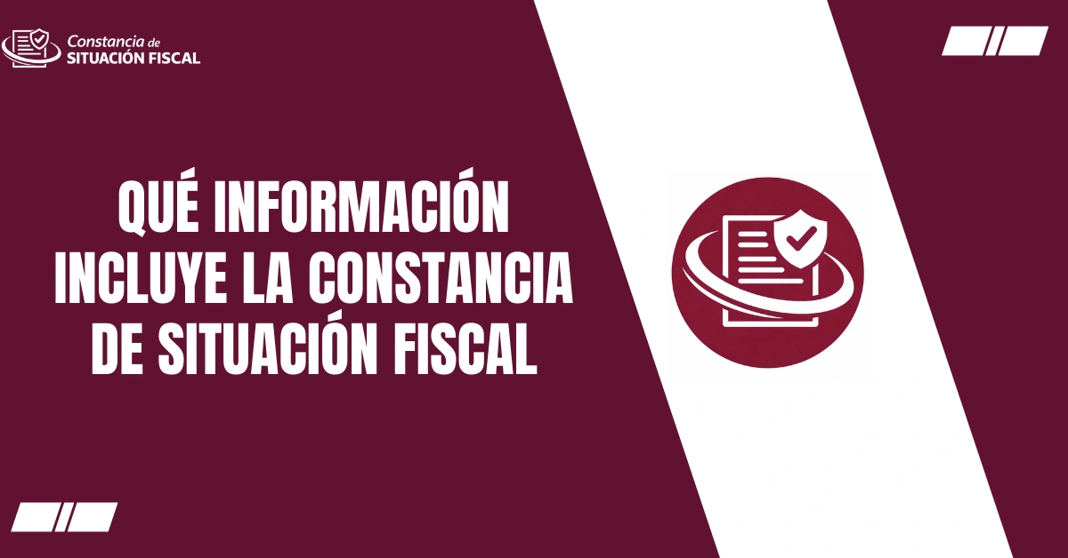Qué Información Incluye la Constancia de Situación Fiscal